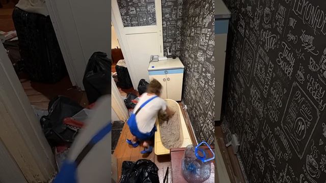 Жидкие обои + и - ремонт жидкиеобои ремонтсвоимируками #ремонтквартиры