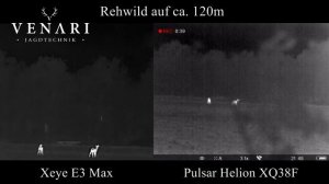 Vergleich Xeye E3 Max vs  Pulsar Helion XQ38F   Rehwild 120m Venari Jagdtechnik