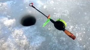 Мой быт, моя рыбалка.mp4