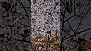 Алена Щвец - первое свидание ?