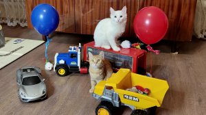 Забавные котята, которые играют с грузовиком, самосвалом, легковой машиной, гелиевыми шариками.