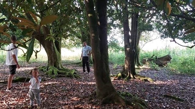 Абхазия День Победы. Аиааира амш!