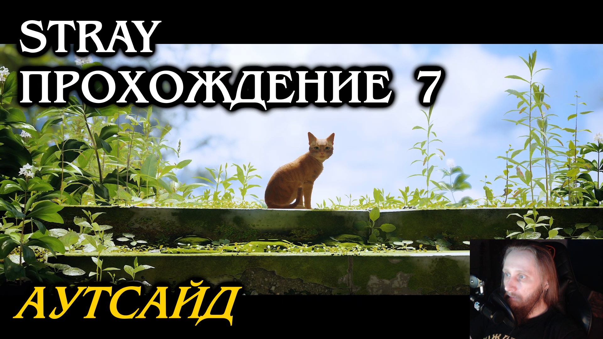 Stray ПРОХОЖДЕНИЕ 7 - Аутсайд