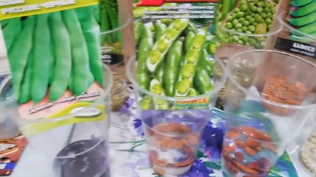 Какой горох садить? смотреть онлайн