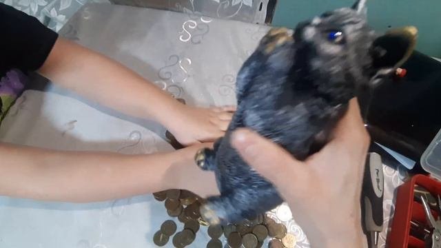 Как открыть копилку смешное видео.