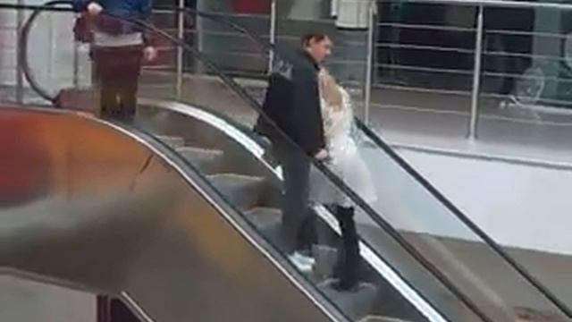 Цвет волос лишь совпадение! смотреть онлайн