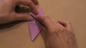 Origami Angelfish by John Montroll