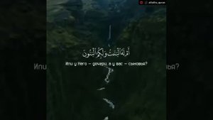 Чтец: Анас Аль Имеди
Сура: 52
Аяты: 35-43

#quran #коран #азан #рамадан #islam #ислам #джума #дуа