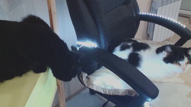 🤕 ВЯЛЫЙ ПОТОК ПОСЛЕ ДОКТОРА / INIKA смотреть онлайн