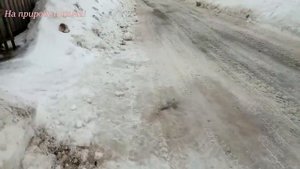 Будни Олега. Погода в Коми. Что я купил в магазине.