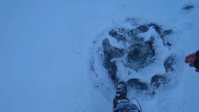 РВУТСЯ ЛЕСКИ, ГНУТСЯ БАГРЫ, ЖЕРЛИЦЫ СТРЕЛЯЮТ! ПЕРВЫЙ ЛЁД ЯКИТИИ день 4 смотреть онлайн