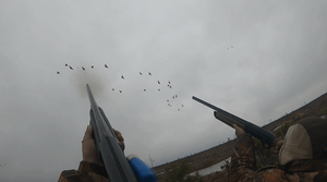 Охота на ГУСЯ, ВЕСНА, 10 ДНЕЙ В БОЛОТЕ. goose hunting.