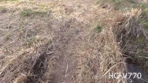 Сравнение HC-V260 vs. HC-V770 50p (day video test)