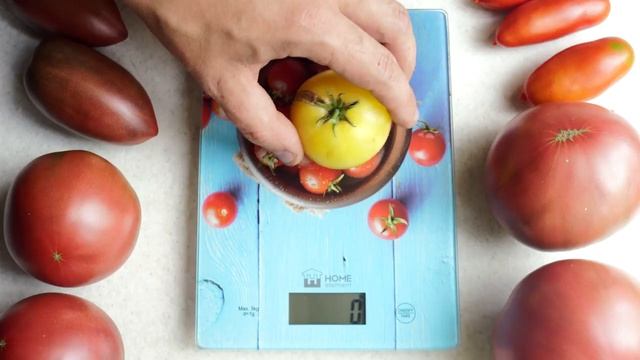 Томат Сладкая Сью. Отличный сорт из проекта "Томатный гном"! смотреть онлайн