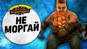 Не Моргай | Гномы vs Бретония | Завоевание | Total War: WARHAMMER 3