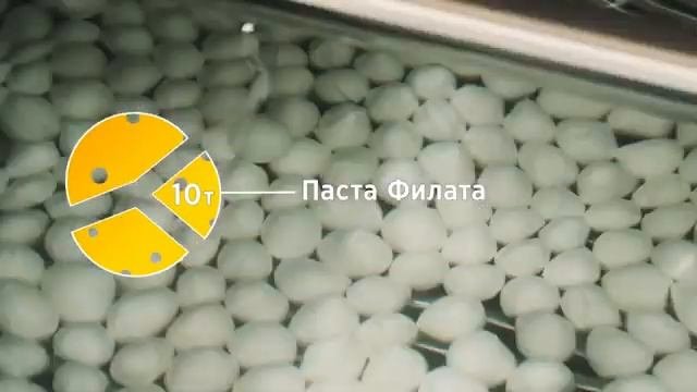 Николаевские сыроварни: российский сыр высокого качества