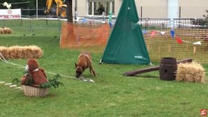 Мондьоринг