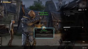 ESO - The Adventures of Guin (Chef) San