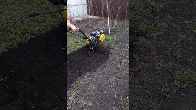 Обзор на мотоблок champion bc 8723 смотреть онлайн