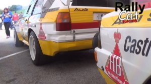 ? Audi Sport QUATTRO Group B  / PURE Sound [RallyCatRacing]