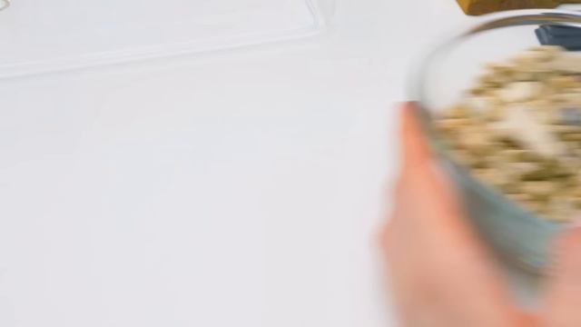 Как построить террариум для красноухих черепах дома