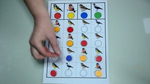 Развивающее занятие для детей 3-4 лет. Птичья математика.