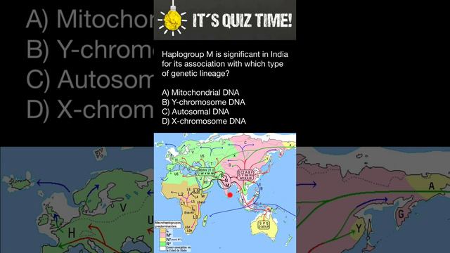 Haplogroup M