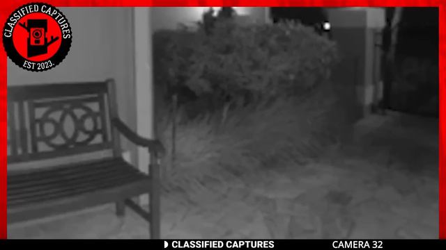 Ultra-Clear Trail Cam Footage That's Now Public Record смотреть онлайн