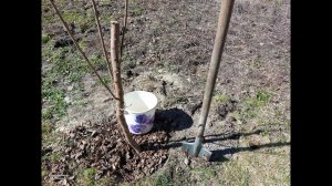 Купил дом в деревне у реки, сажаем САД! Жизнь в деревне, дом в ДЕРЕВНЕ