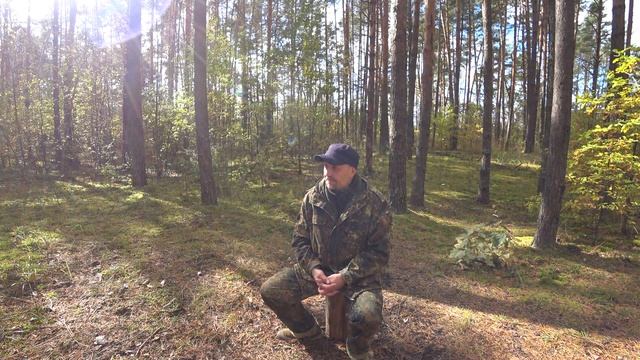 ОСЕННЯЯ ПРОГУЛКА ПО ЛЕСУ. РАССУЖДЕНИЯ У КОСТРА. смотреть онлайн