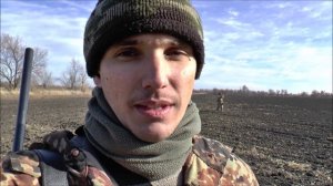 Охота на зайца - русака в Ростовской области. Ноябрь 2015