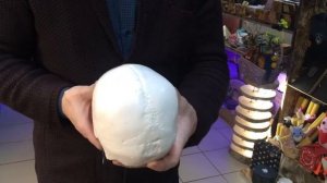 Череп человека из гипса - XLANDBY