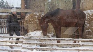 Деревня Талька "Маленькая Швейцария" Борьба за чистый воздух против завода