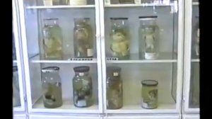 Медицина 10в класс, 1998г, г. Благовещенск