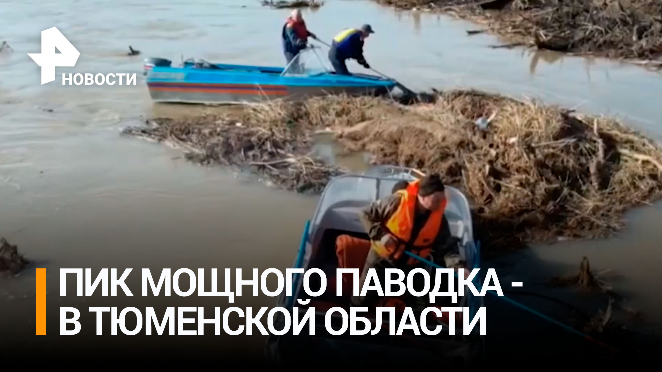 Уровень реки Ишим в Тюменской области обновил исторический максимум / РЕН Новости