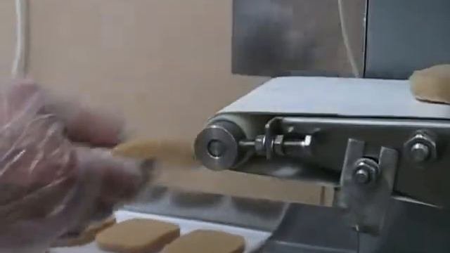 Котлетный автомат ИПКС-123 для производства котлет и тефтелей