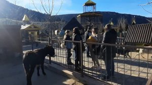 Парк развлечений, ферма Ишачок. Прогулка по территории