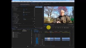 #4 Статические и динамические свойства. Наложение титров #Adobe Premiere для начинающих