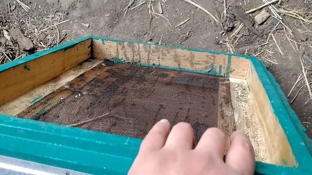 Дадан 12 рамочний і з магазиними надставками