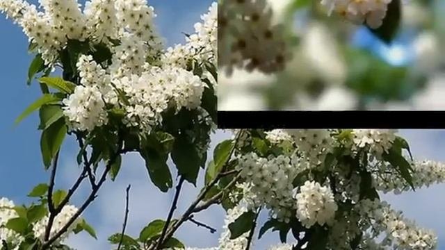 ПОХОЛОДАЛО 720x576