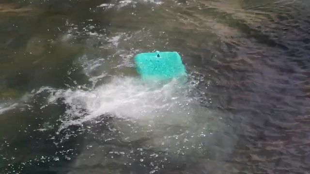 Белая медведица приглашает зрителей поиграть с ней в кубик. Экскурсия в Ленинградский зоопарк. смотреть онлайн