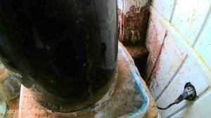 ДИМЕТИЛГЛИОКСИМ(Реактив ЧУГАЕВА)+ РАСТВОР=Pd(Ni и др.)