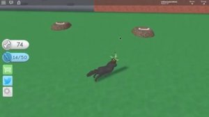 I became a dog! (Roblox Dog Simulator)