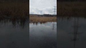 Воды реки Молочная в Мелитополе загрязняют стоками
