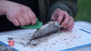 Как быстро почистить рыбу от чешуи?