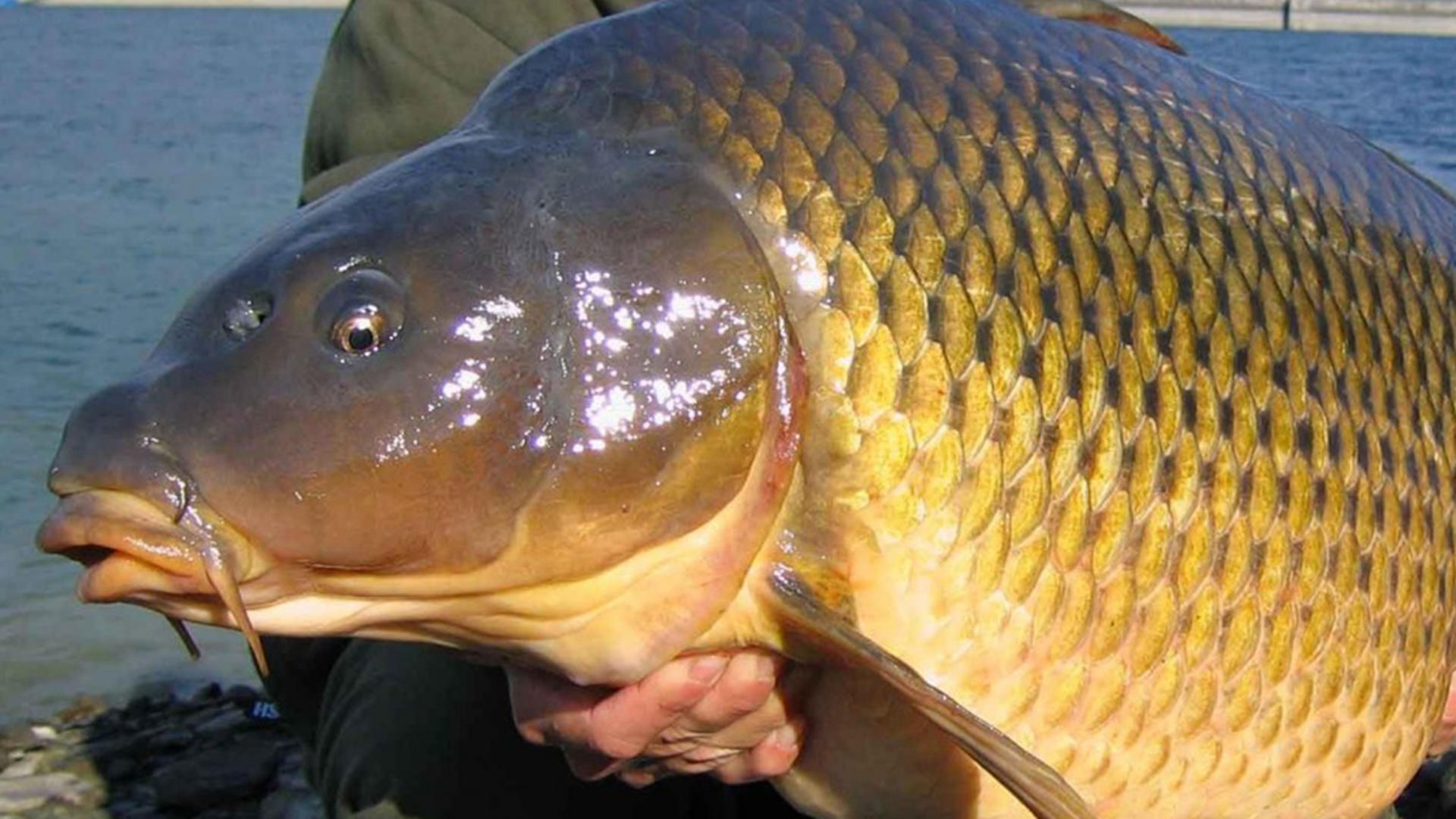 Ароматизатор для рыбалки.