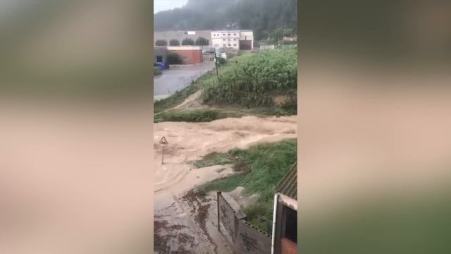 Все прекрасно люди радіють життю смотреть онлайн