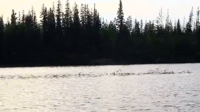 По Лене на мото - весле.Жизнь на острове.Рыбалка.ч.2 смотреть онлайн