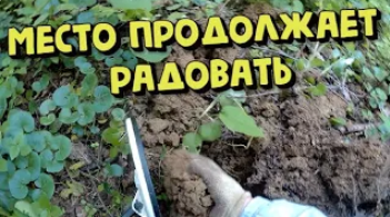 Поиск с металлоискателем на старом проверенном месте. КОП