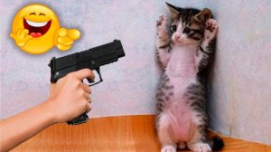 ?КОТЫ - АРТИСТЫ! ? / Приколы с котами и собаками 2022 #8